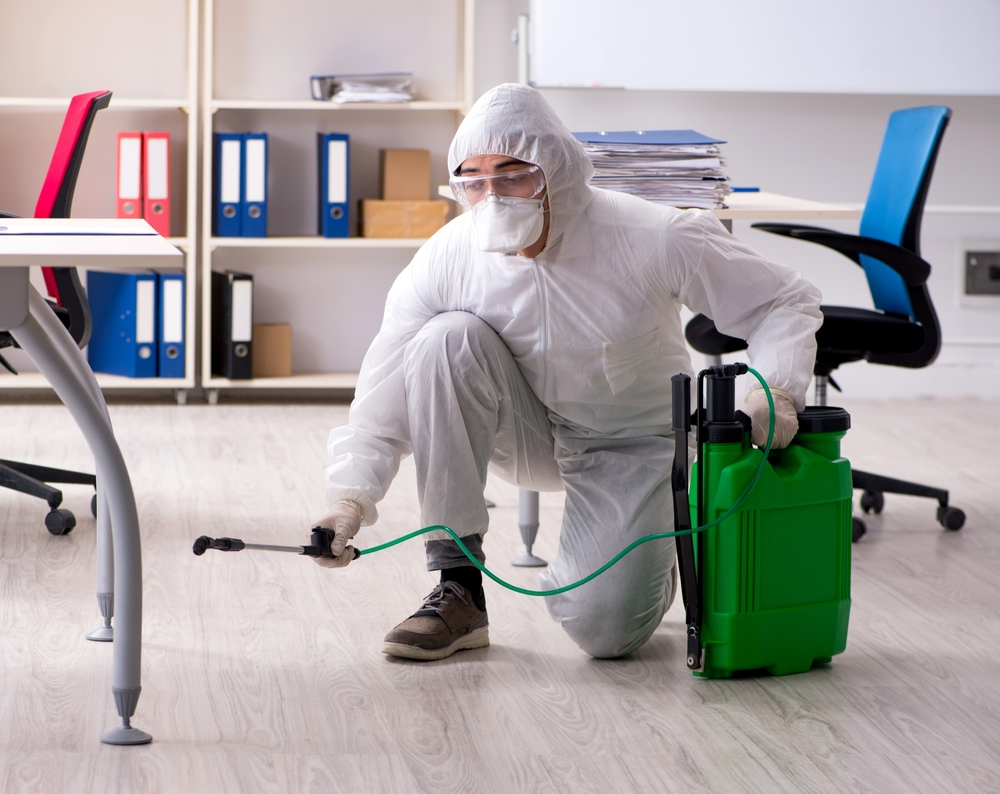 Mosquito Exterminator