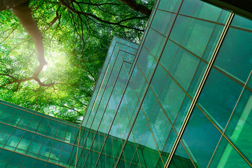 How to Create a Clean and Productive Work Environment