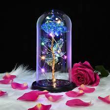 Galaxy Rose Care – Common Mistakes to Avoid