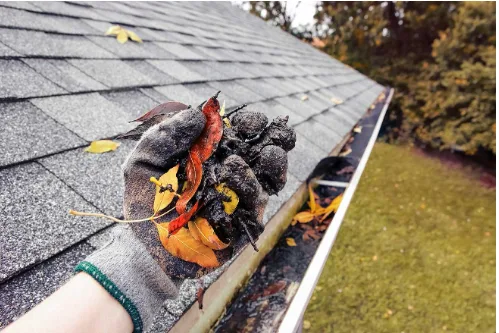 Gutter Cleaning Services