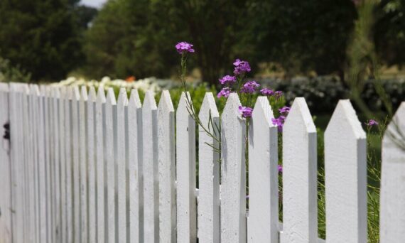 Vinyl Fence