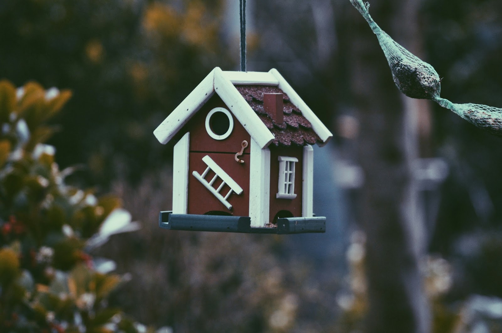 Top 6 Ways Student Housing Impacts Academic and Personal Growth