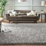 Living Room with Rugs