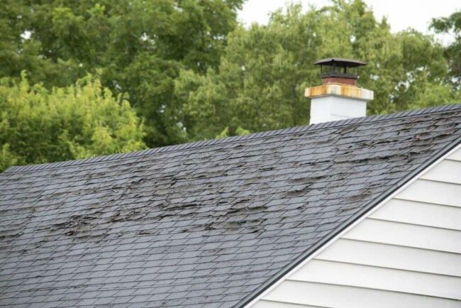 roof