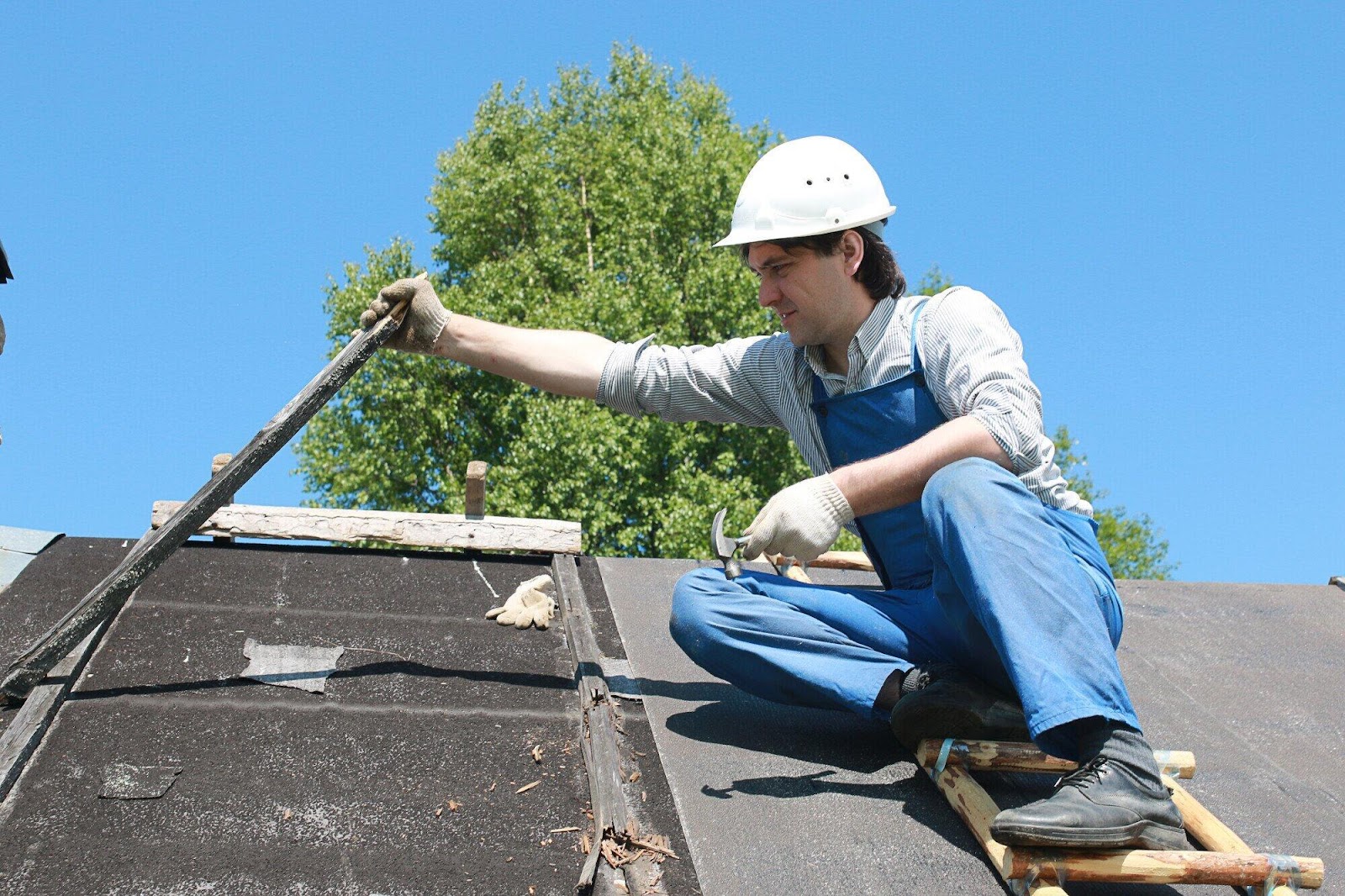 roof style
