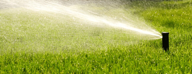 sprinkler