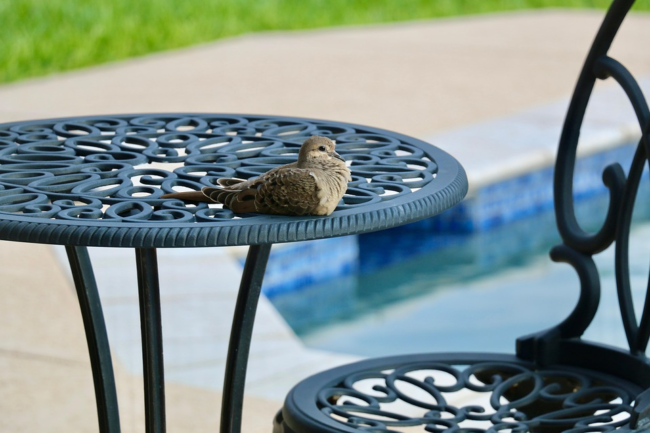 Metal Furniture