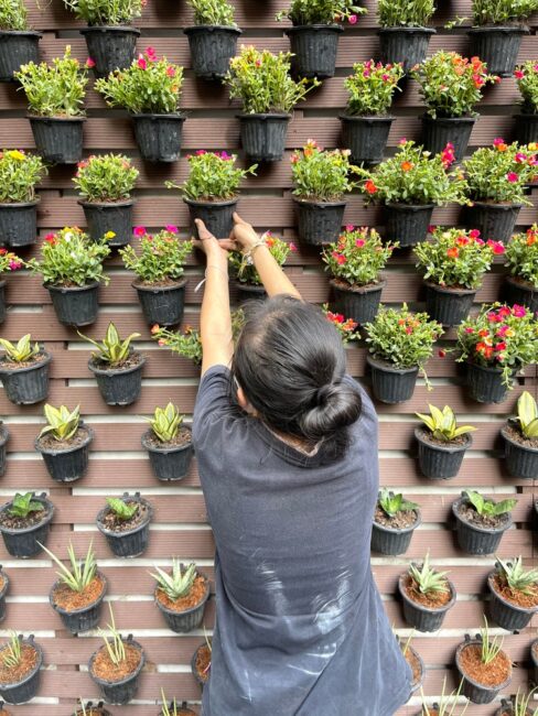 Vertical gardens - Kdarchitects Landscape Ideas By Roger Morph