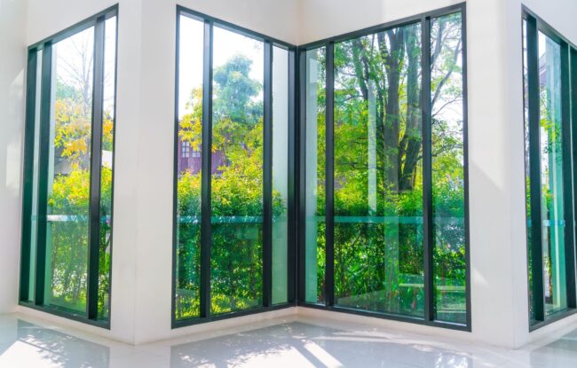 Window 