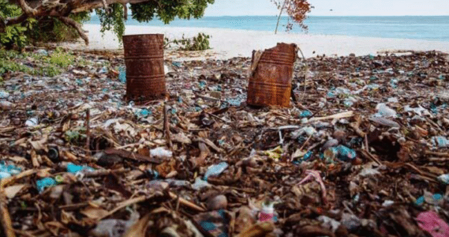 Waste Removal