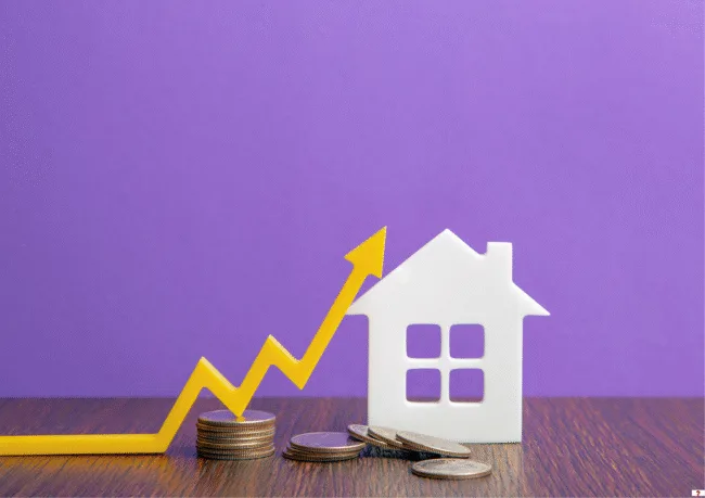 real estate
