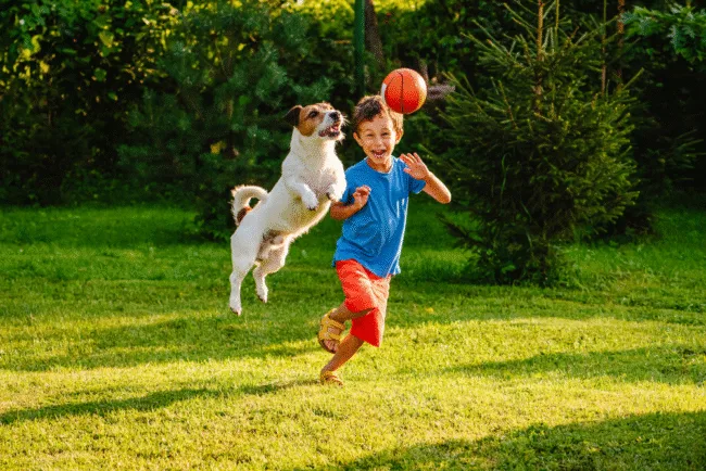 summer activities for kids
