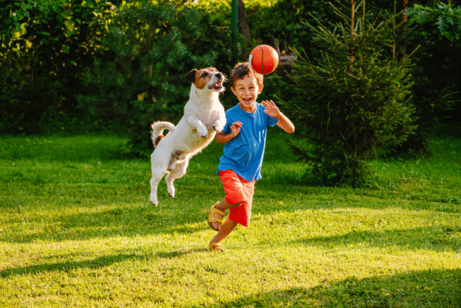 summer activities for kids