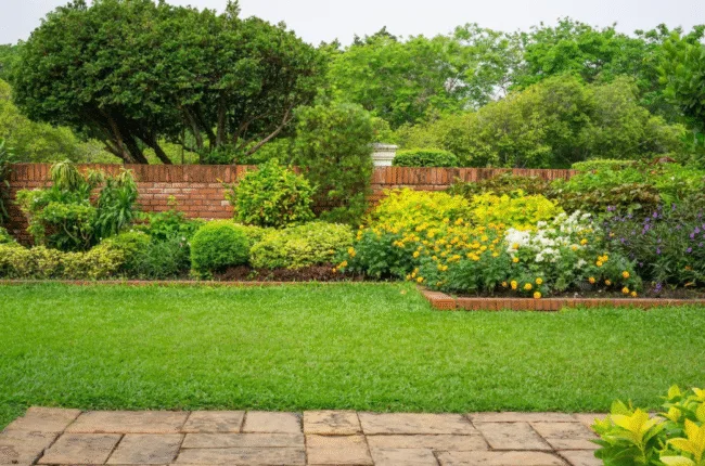 garden