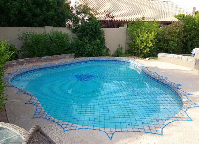 Backyard Pool