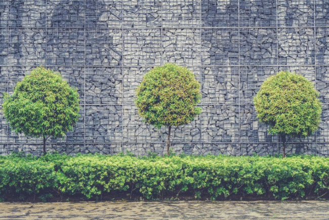 Retaining Wall