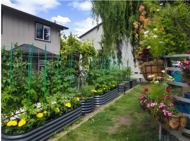 Flower Bed