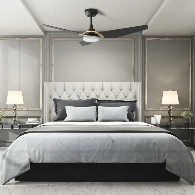 ceiling fan
