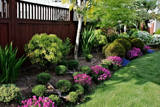 Landscaping