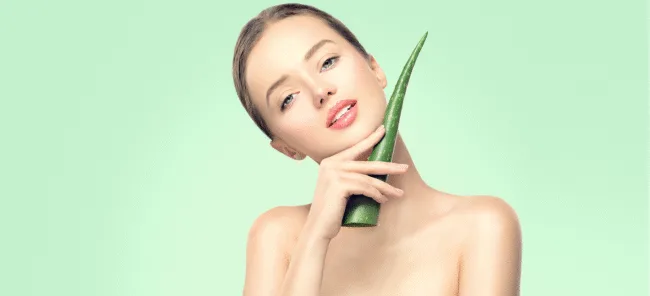 aloe vera