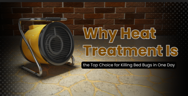 Heat Treatment 