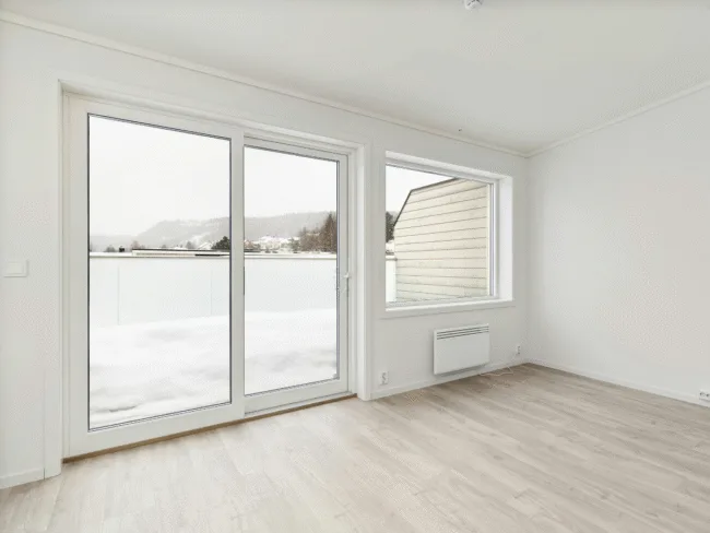 Modern Door