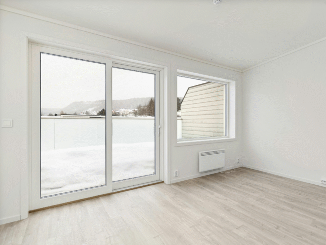 Modern Door