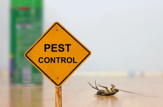pest
