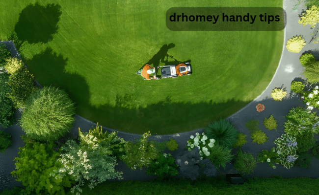 drhomey handy tips