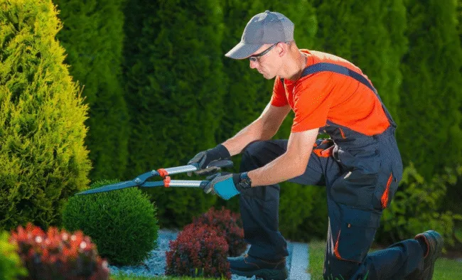 gardening