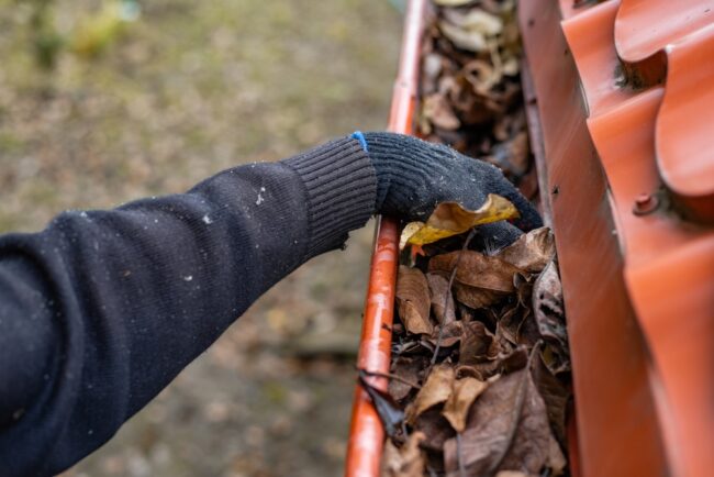 Professional Gutter Cleaning Services