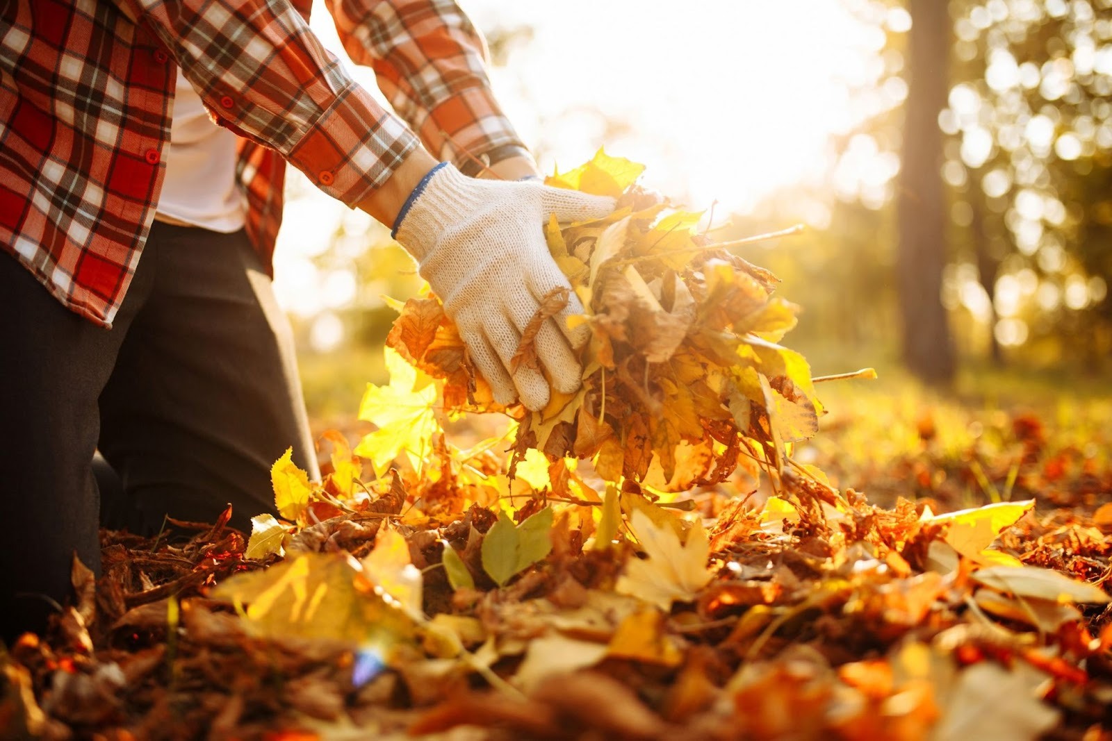 Winter-Proofing Your Yard: Fall Clean-Up That Doubles as Affordable Decoration