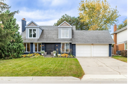 Landscape Care Tips