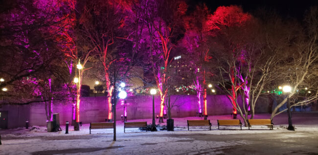 Permanent Holiday Lights 