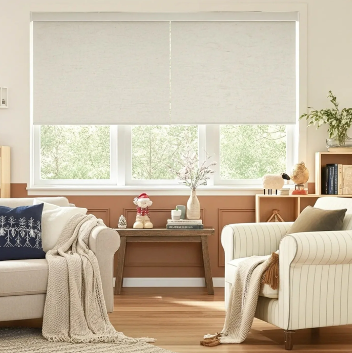 Bringnox Zebra Blinds and Shades: Transform Your Home with Style and Functionality