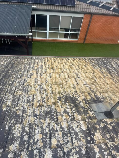 Roof